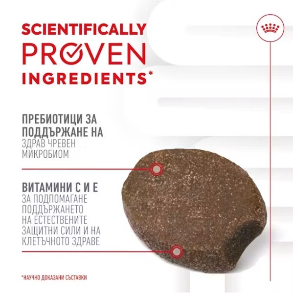 Royal Canin Puppy Suppllement Immunity and Digestion - Хранителна добавка за малки кученца за имунитет и добро храносмилане